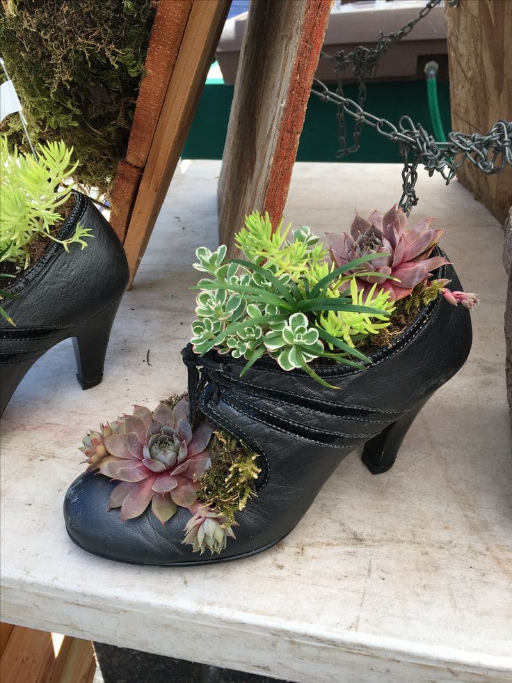 Fancy Heel Succulent Planter