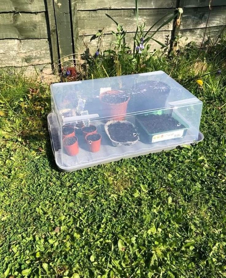 Flip-It Storage Bin Greenhouse