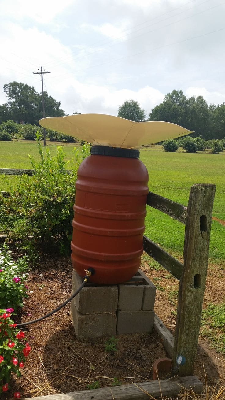 Funnel-Top Rain Barrel Collector