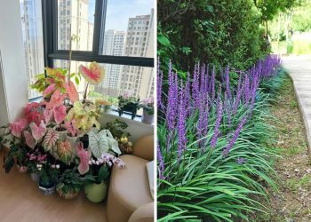 15 Shade-Loving Plants That Beat the Heat (And Still Look Gorgeous Doing It)