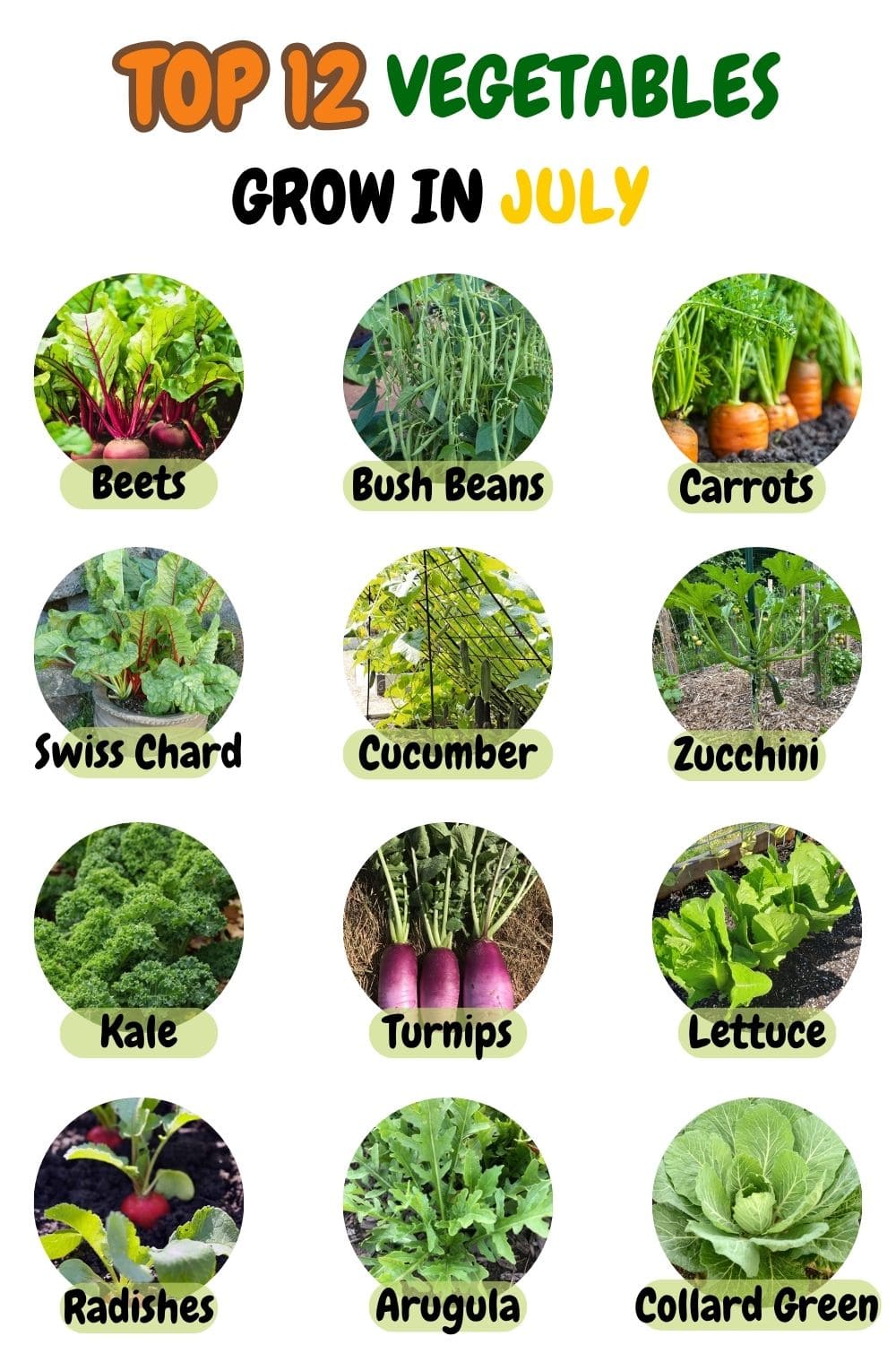 12 Vegetables That Grow Well in July (And Exactly How To Grow Them Right)