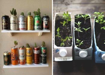 25 Eco-Friendly DIY Planters Made from Upcycled Treasures