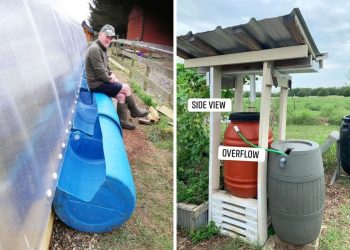 19 Rainwater Collecting Ideas That Are Functional, Beautiful, and Easy to Build