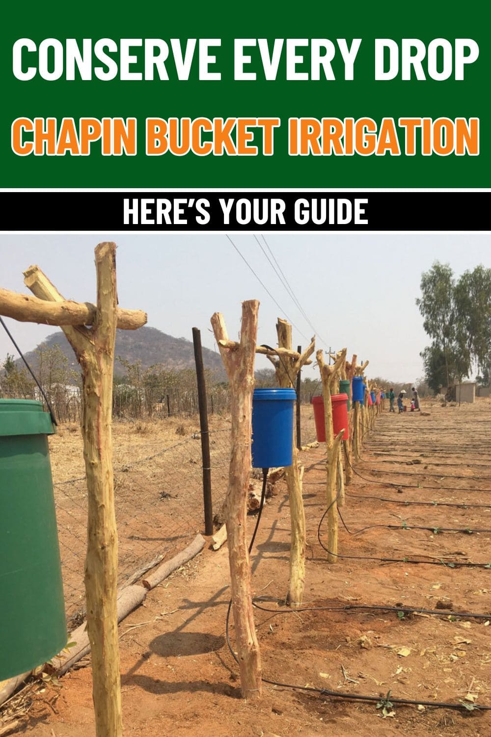 Chapin Bucket Irrigation Conserves Every Drop And Here's Your Guide