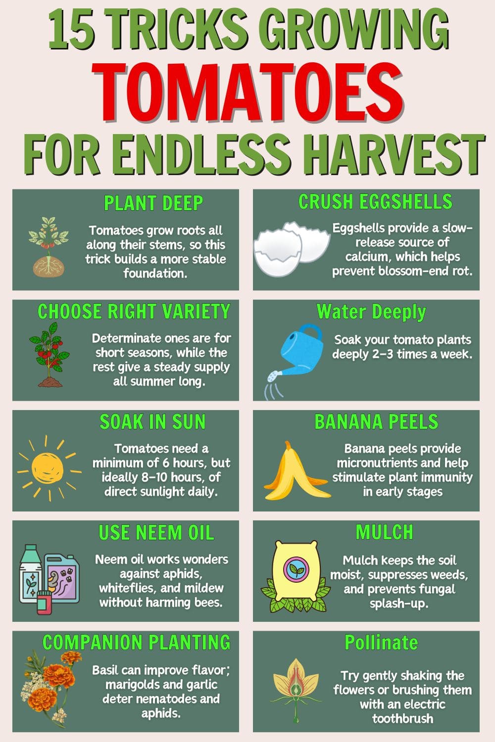 Following These 15 Tricks Helps You Harvest Brag of Tomatoes