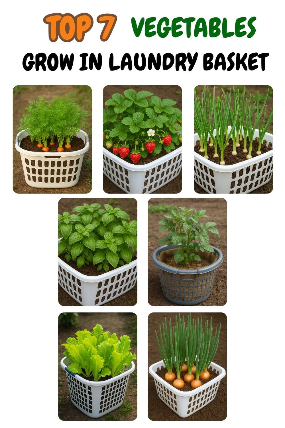 Top 7 Plants That Grow Beautifully in a Laundry Basket