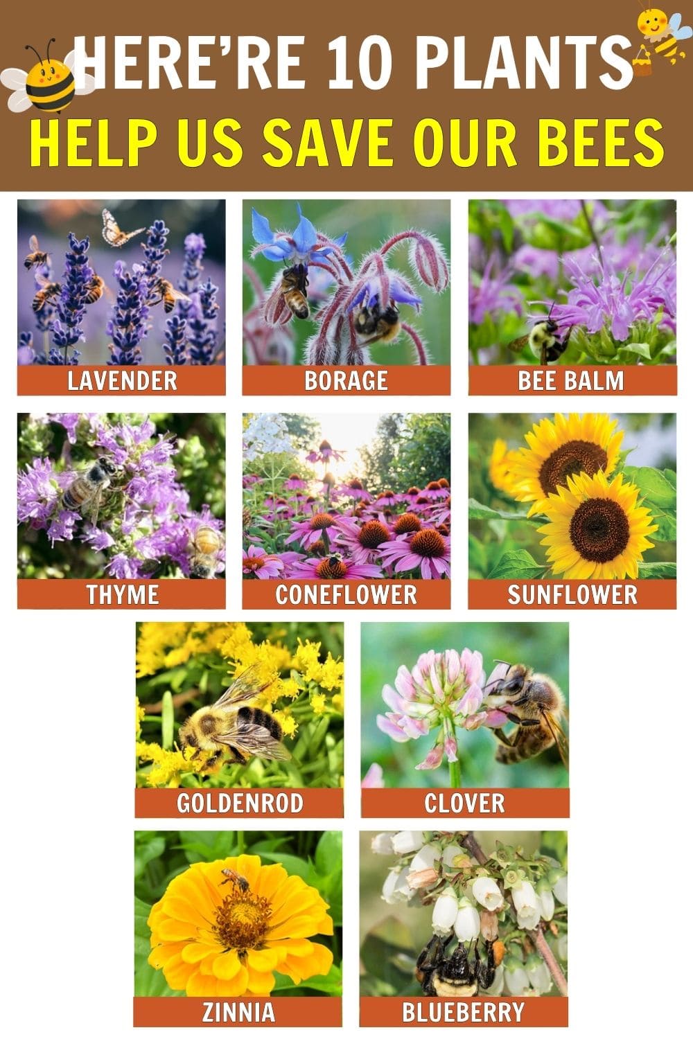 Here Are 10 Best Plants That Help Us Save Our Bees