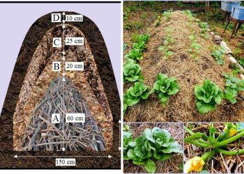 How to Build A Hugelkultur Gardening Bed That Feeds Itself And Thrives For Years