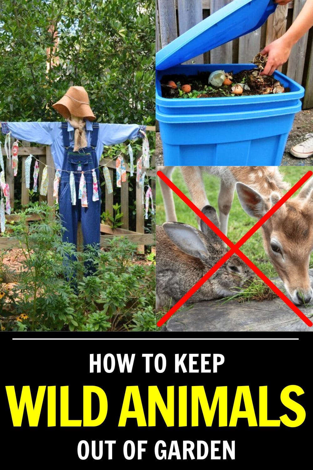 How to Keep Wild Animals Out of Your Garden Without Losing Your Mind