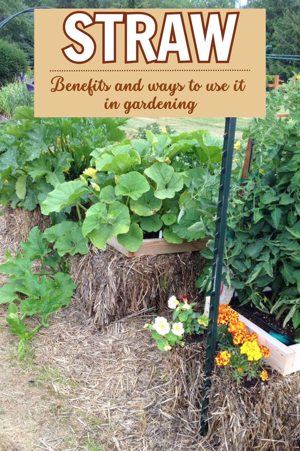 11 Genius Ways to Use Straw in Gardening That Go Way Beyond Mulch