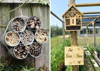 21 DIY Bee and Insect Hotel Ideas That’ll Turn Your Garden Into a Buzzing Paradise