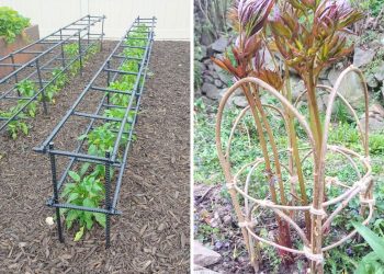 15 Plant Support Ideas That Will Help Your Garden Thrive All Season