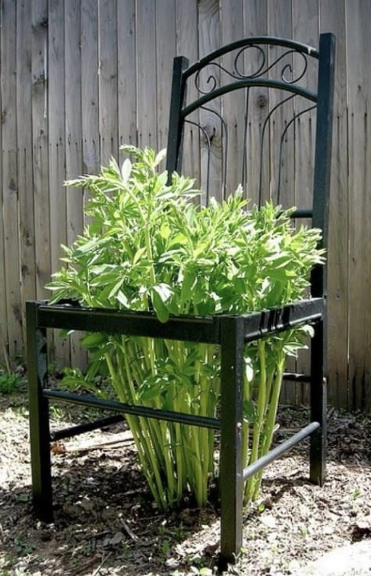 Garden Chair Trellis