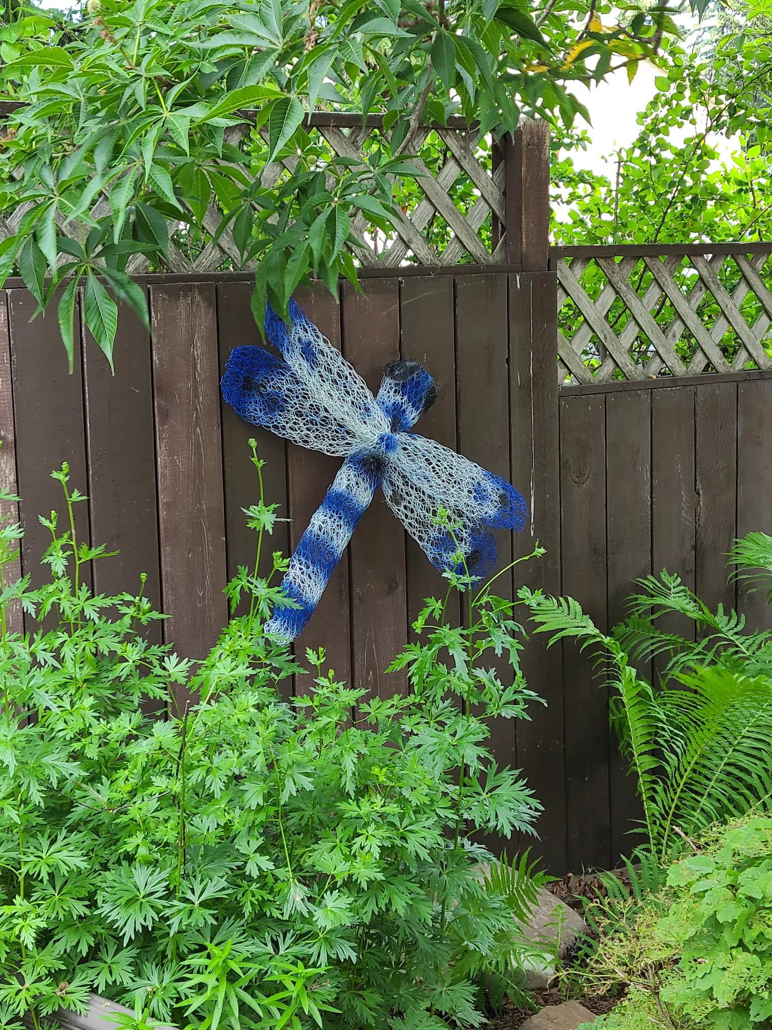 Garden Dragonfly Chicken Wire