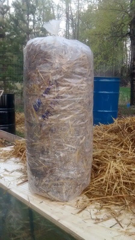 11 Genius Ways to Use Straw in Gardening That Go Way Beyond Mulch