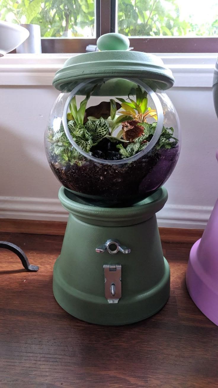 Gumball Machine Terrarium