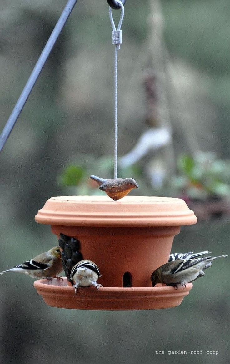 Hanging Clay Pot Bird Feeder
