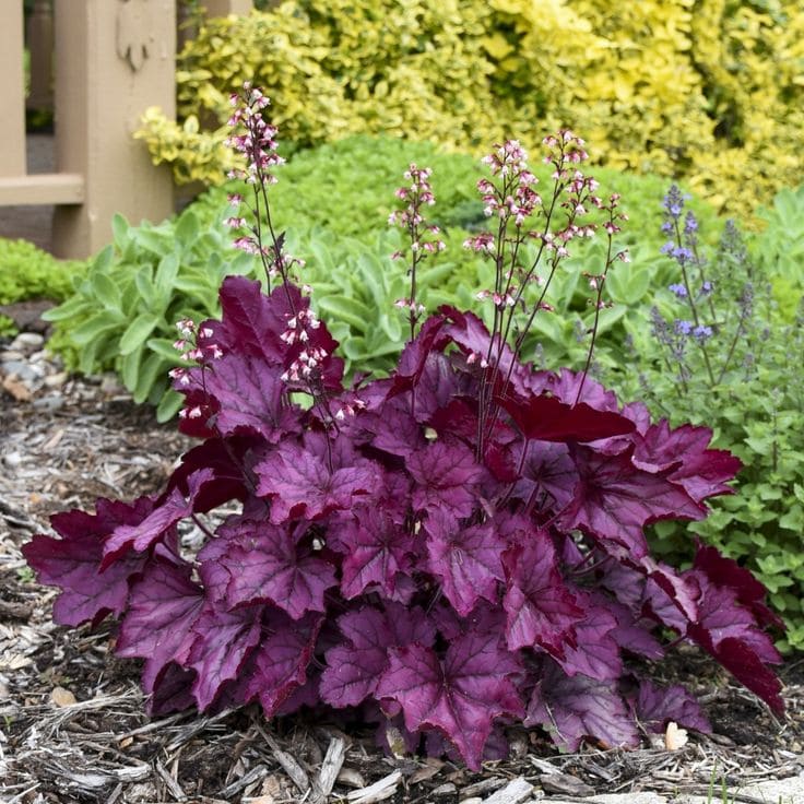15 Shade-Loving Plants That Beat the Heat (And Still Look Gorgeous Doing It)