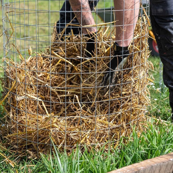 How to Build a Potato Tower for a Massive Harvest Even in a Tiny Garden