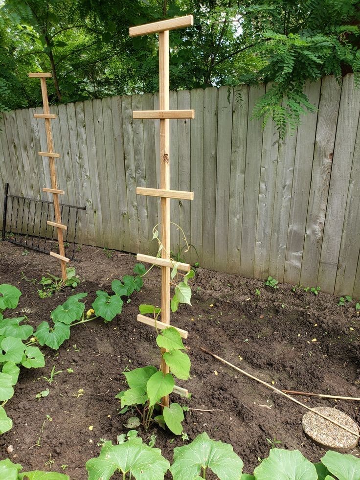 Ladder-Style Vertical Veggie Trellis