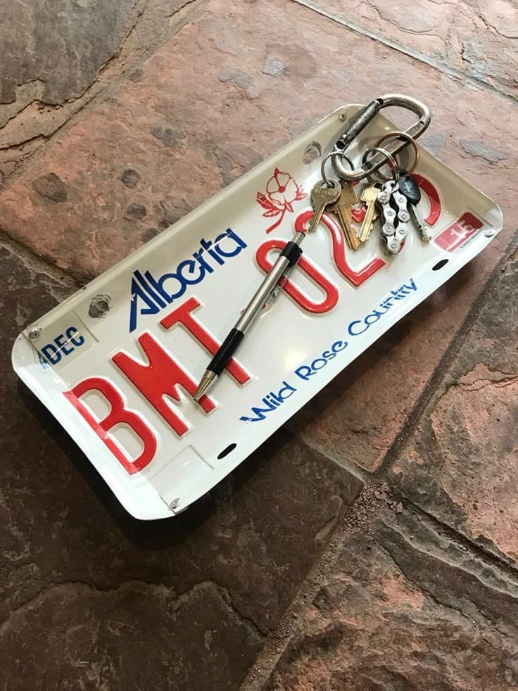 License Plate Catch-All Tray