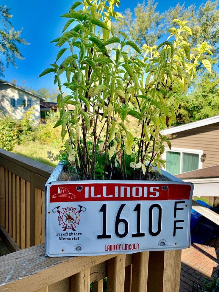 License Plate Herb Planter