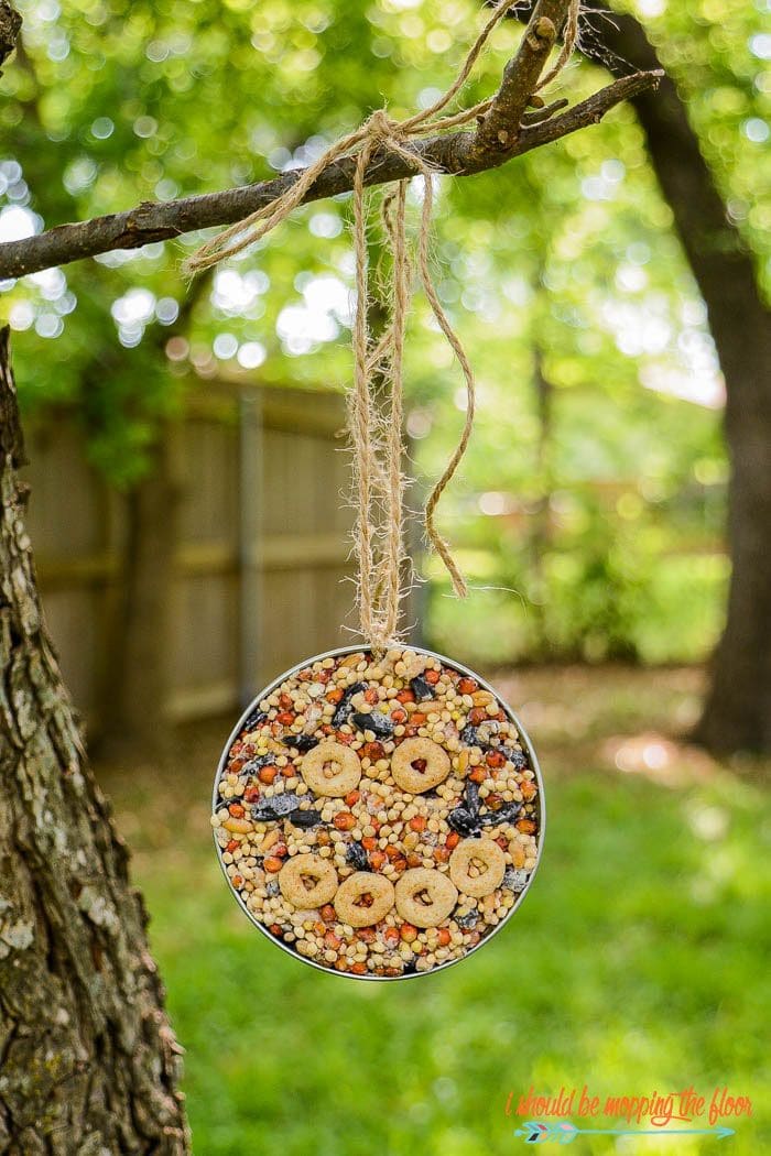 Mason Jar Lid Bird Feeder