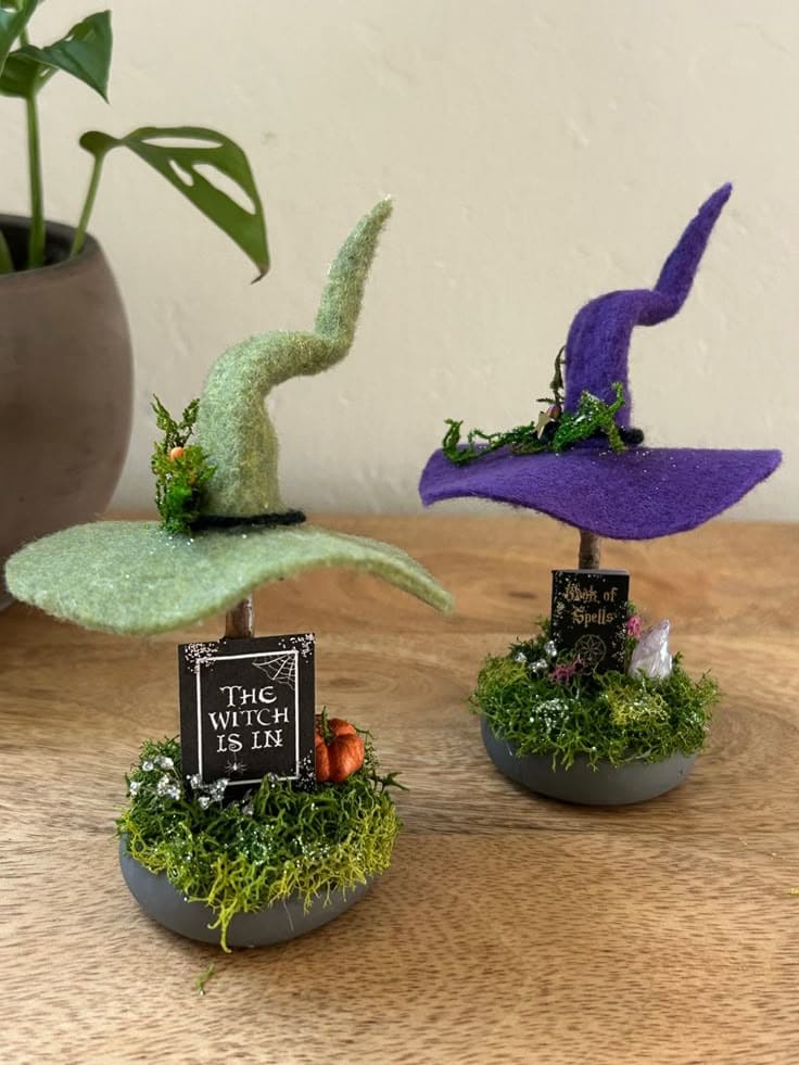 Mini Witch Hat Terrariums