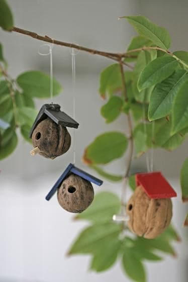 Miniature Walnut Shell Birdhouses