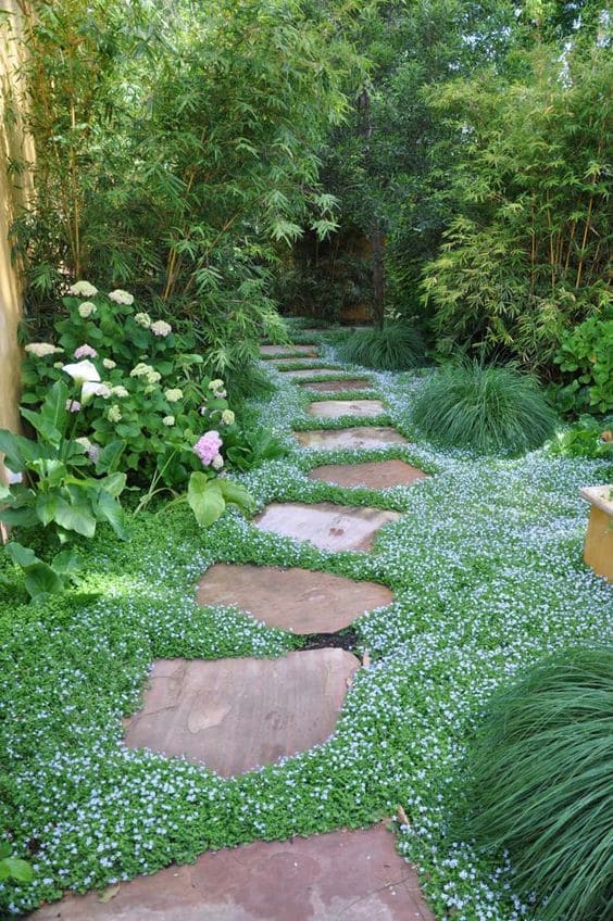 Natural Flagstone Woodland Path