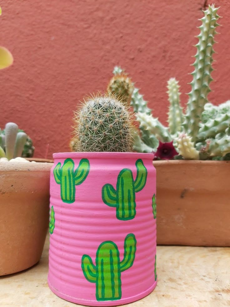 Painted Tin Can Cactus Planter