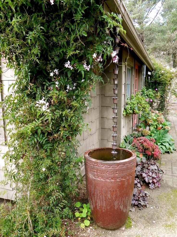 Rain Chain Water Catcher