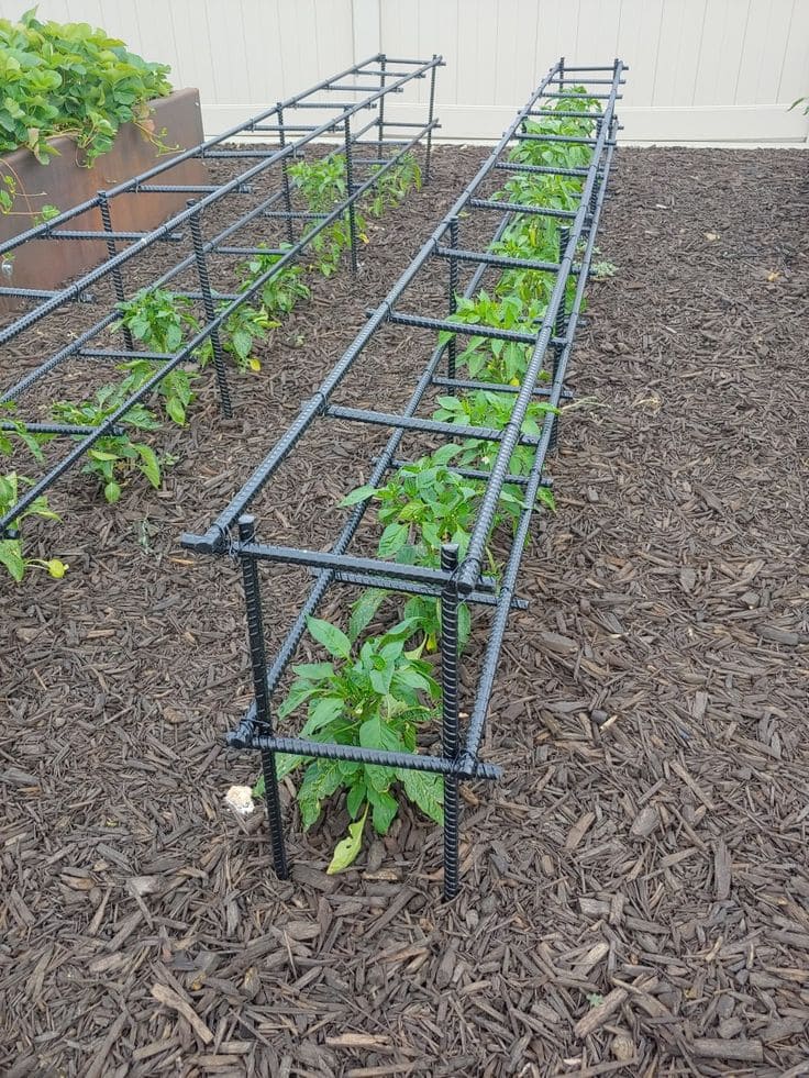 Rebar Tunnel Trellis