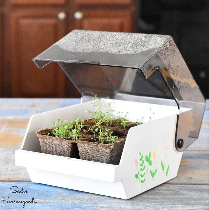 Repurposed Bread Box Mini Greenhouse