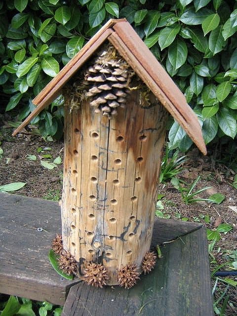 Rustic Log Bee Hotel