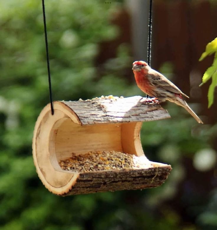 Rustic Log Bird Feeder