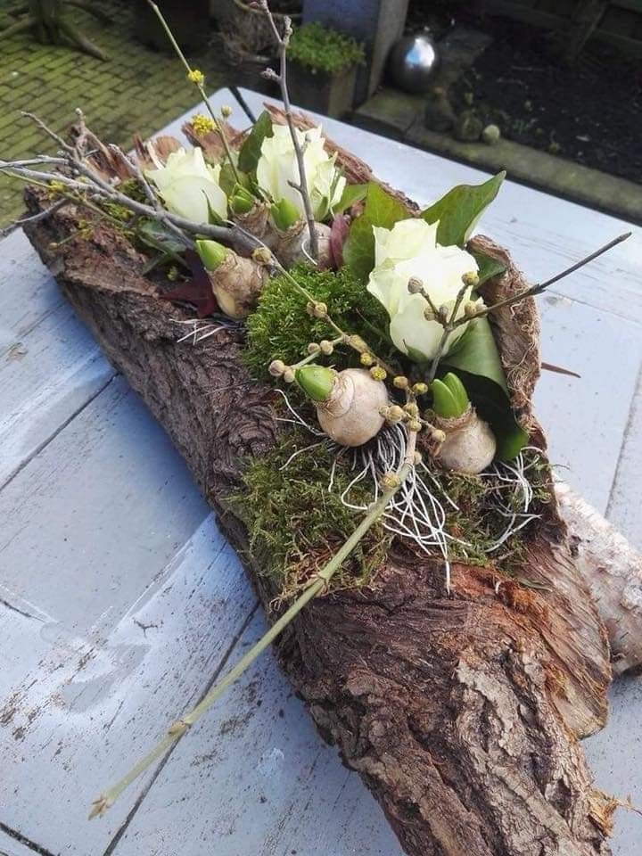 19 Gorgeous Birch Bark Crafts for Nature Lovers and DIY Enthusiasts