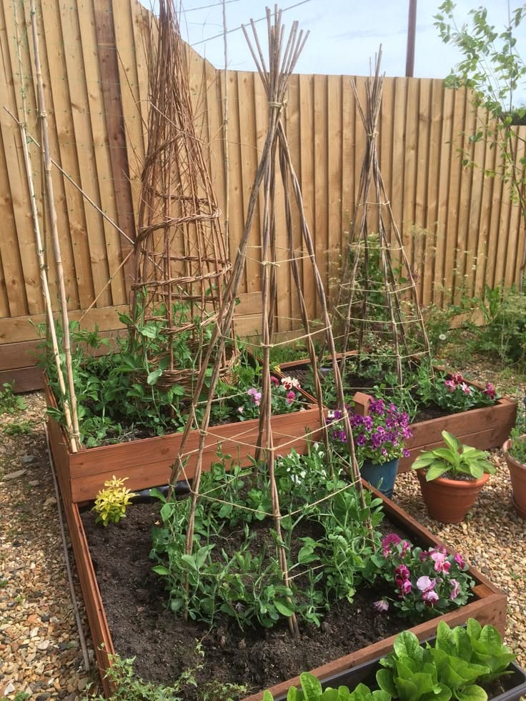 Rustic Twig Teepee Trellis for Climbing Plants