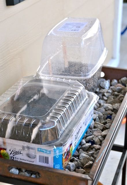 Salad Container Greenhouse