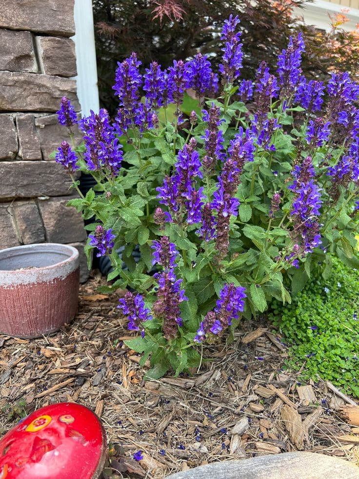 15 Shade-Loving Plants That Beat the Heat (And Still Look Gorgeous Doing It)