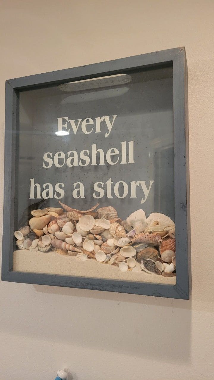 Shadow Box Seashell Story Frame