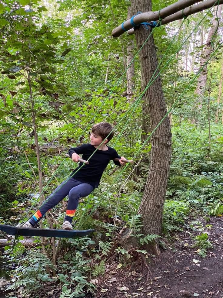 Skateboard Tree Swing