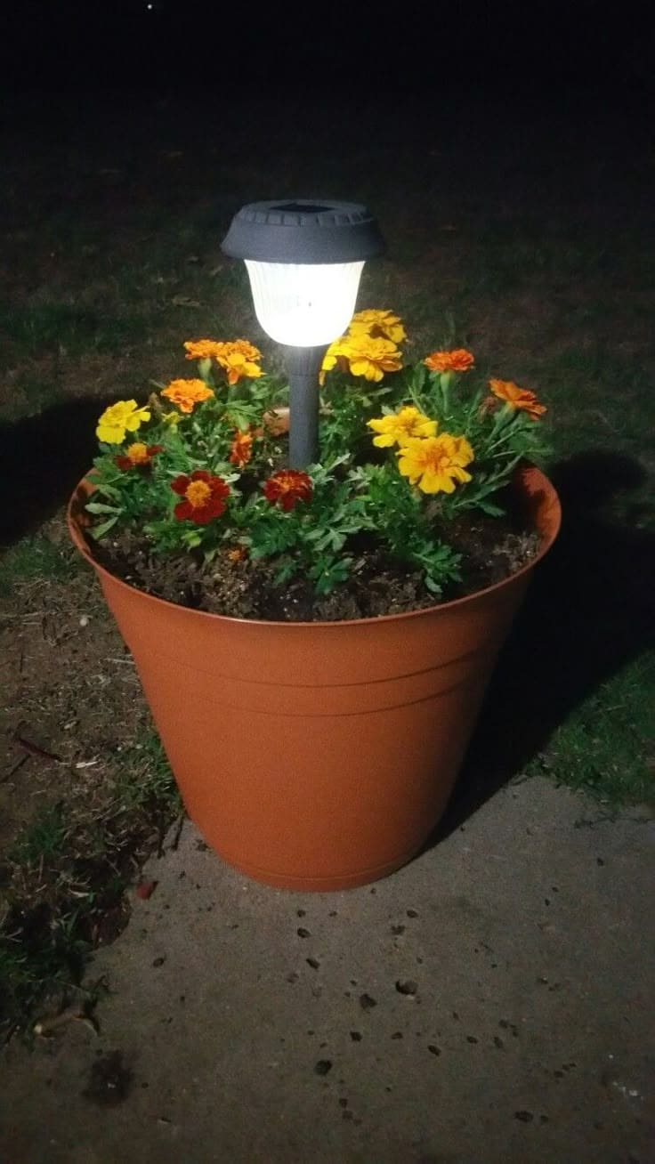 Solar Light Flower Pot