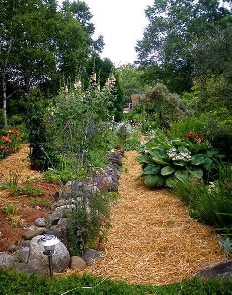11 Genius Ways to Use Straw in Gardening That Go Way Beyond Mulch