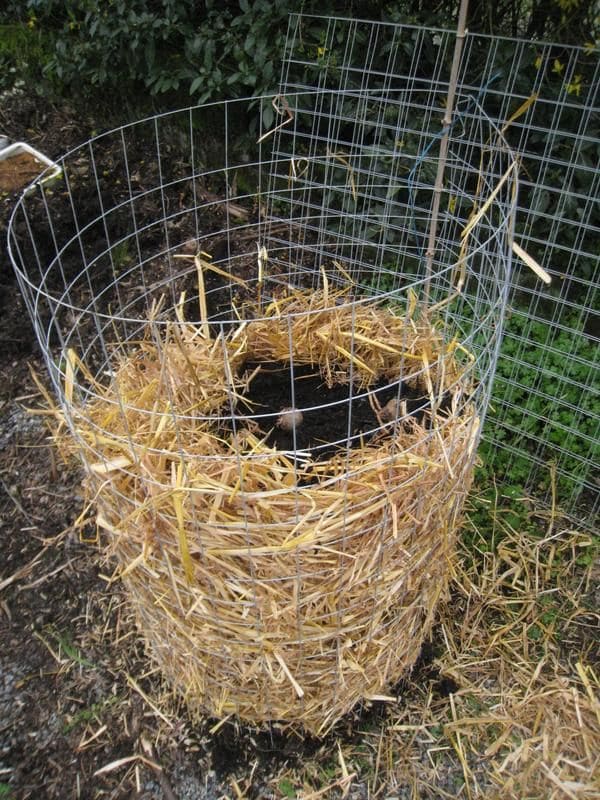 11 Genius Ways to Use Straw in Gardening That Go Way Beyond Mulch