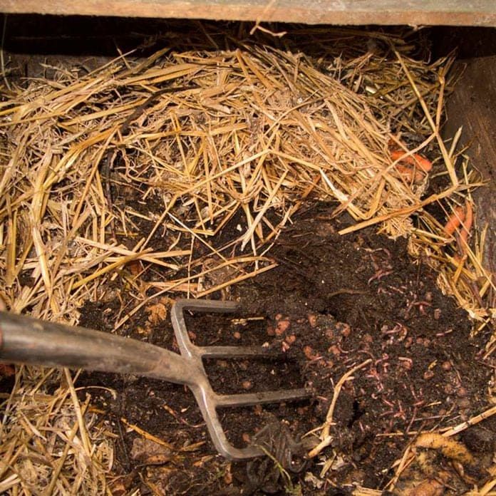 11 Genius Ways to Use Straw in Gardening That Go Way Beyond Mulch
