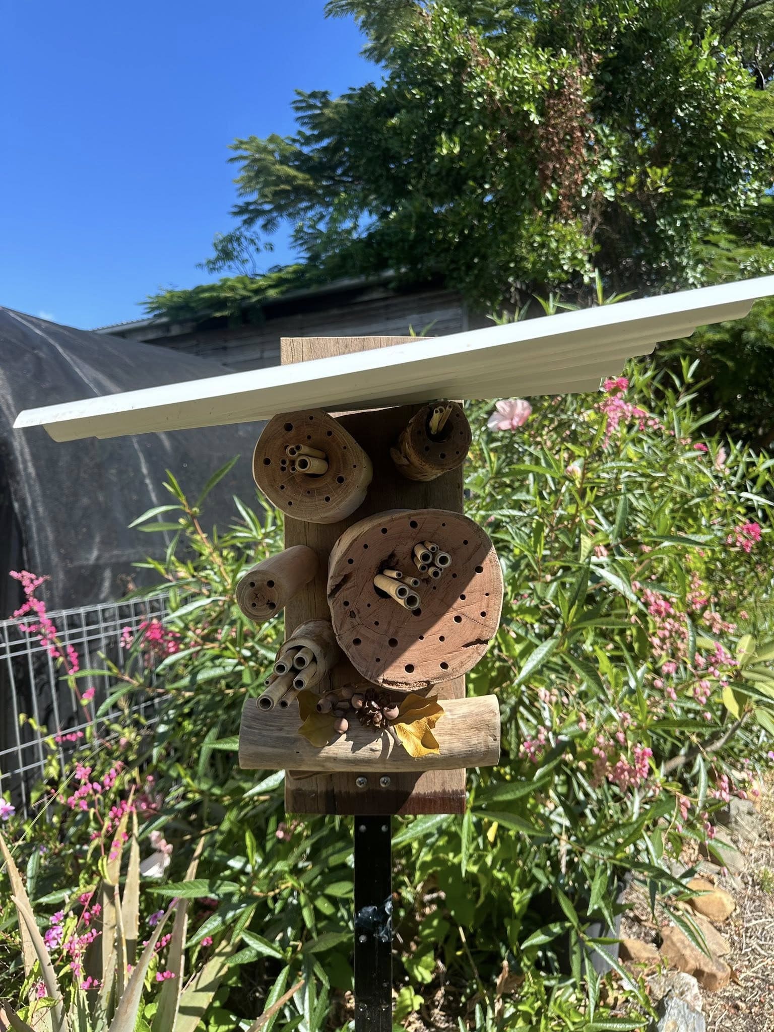 Sunny Pole-Mounted Insect Hotel