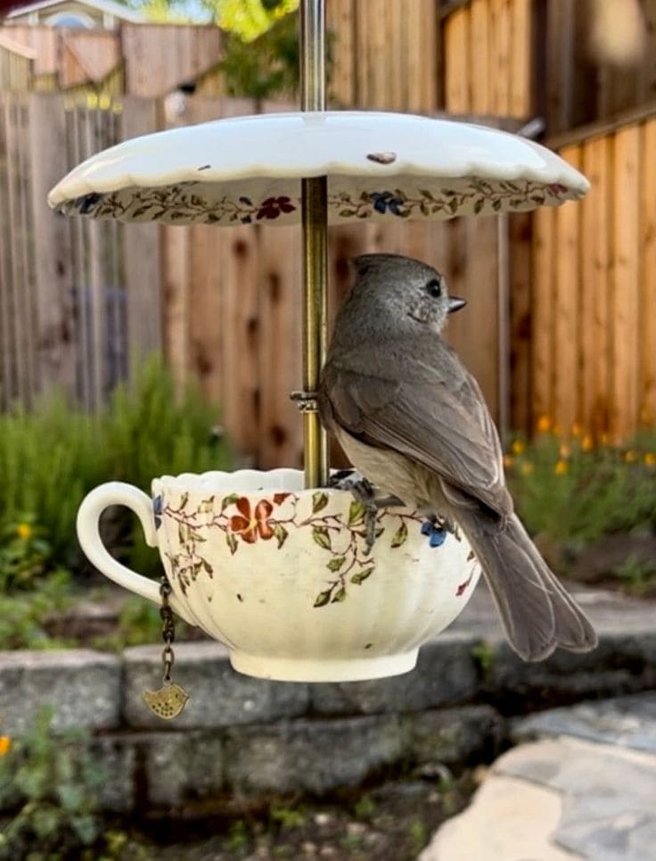 Teacup Bird Feeder