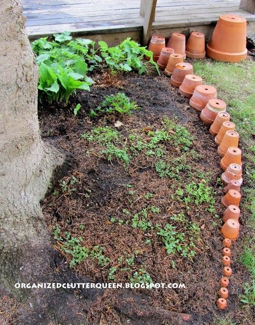 Terracotta Pot Edging