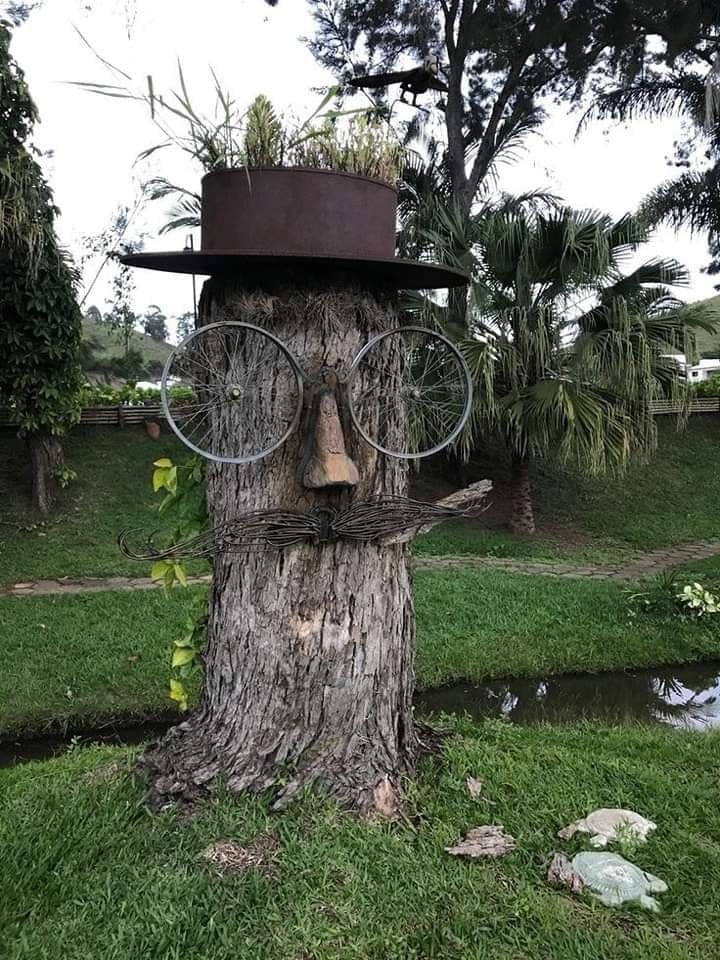 20 Whimsical Tree Trunk Projects That Transform Your Outdoor Space The Dapper Tree Gentleman